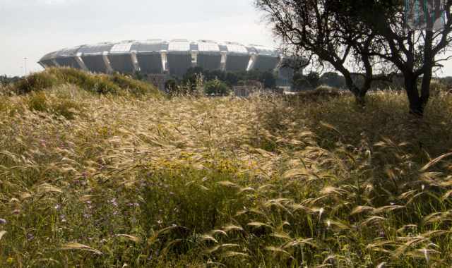 Il mese di fuoco del Bari
